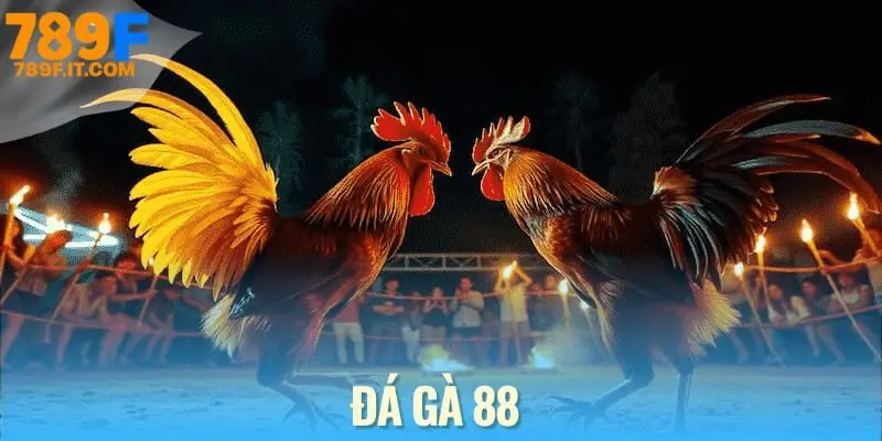 Đá gà 88